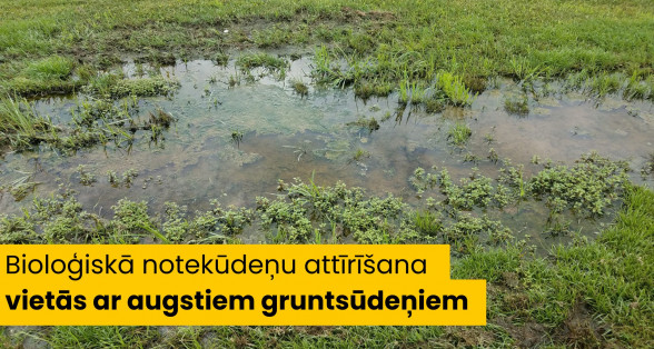 Bioloģiskā notekūdeņu attīrīšana vietās ar augstiem gruntsūdeņiem: Kas jāzina pirms ierīkošanas?