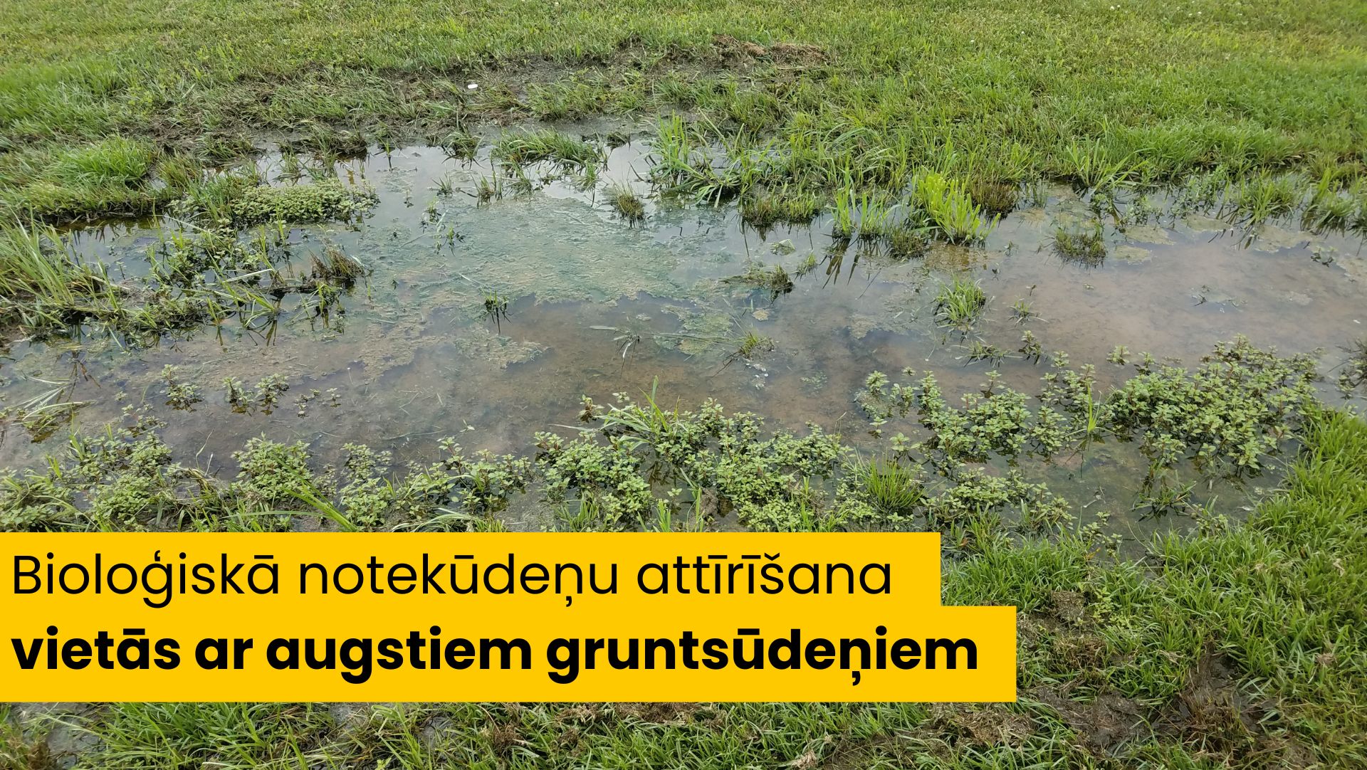 Bioloģiskā notekūdeņu attīrīšana vietās ar augstiem gruntsūdeņiem: Kas jāzina pirms ierīkošanas?